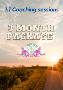 1:1 coaching package