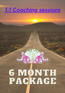 1:1 life coaching package